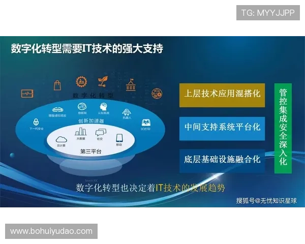 开云网中国:探索数字化转型驱动下的品牌营销创新路径 开云网中国:探索数字化转型驱动下的品牌营销创新路径