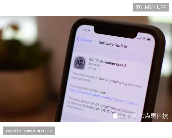 华体会体育官方手机版采用先进技术保障平台运行稳定无卡顿现象